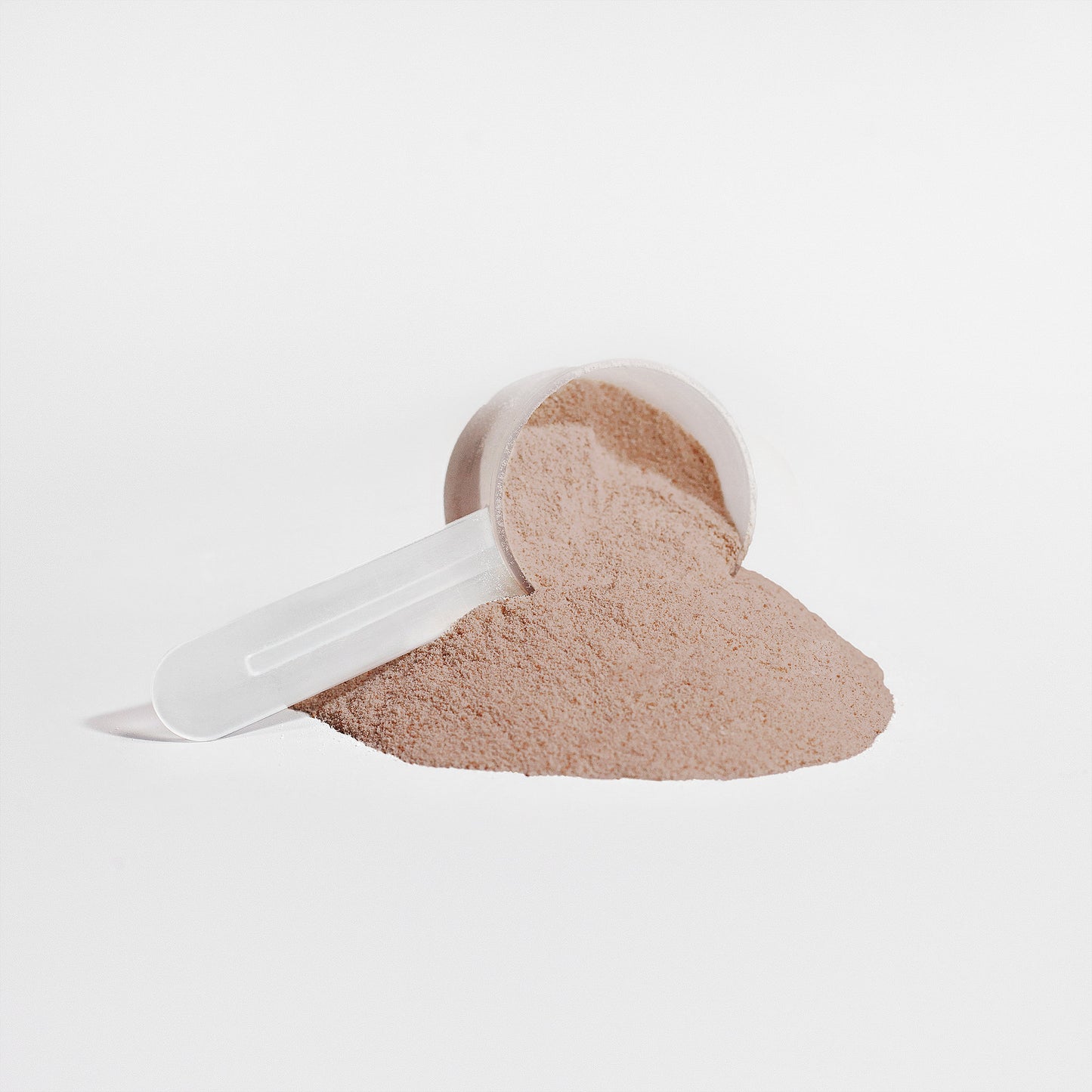 RUSHMORE Plant Protein (Chocolate)